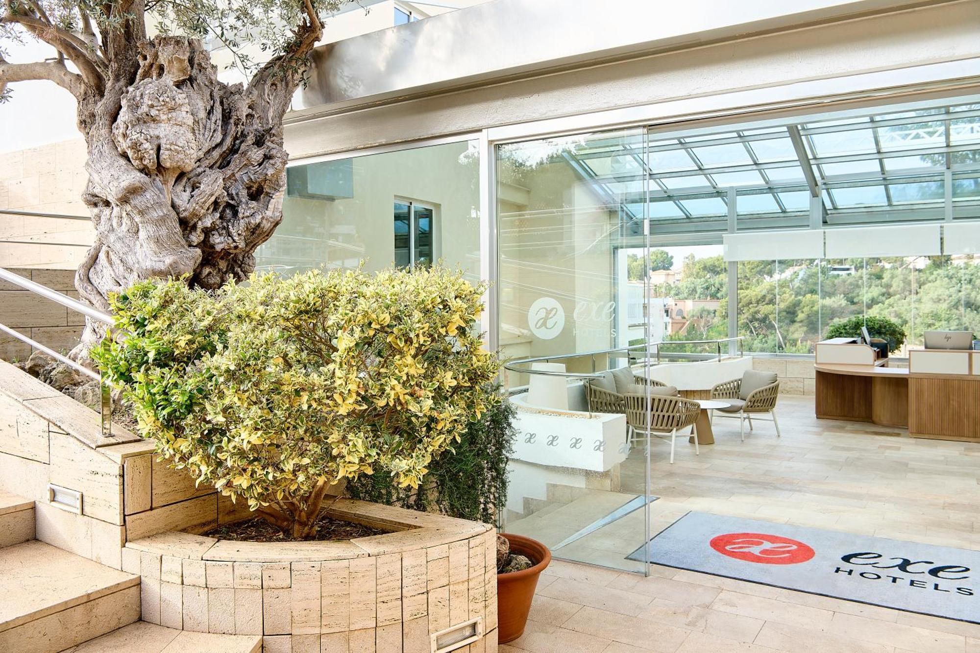 Exe (adults Only) Hotel Portals Nous (Mallorca)